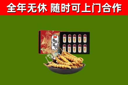 城西回收冬虫夏草价格