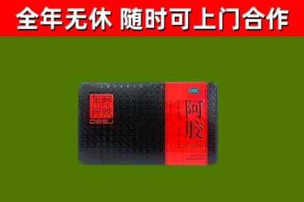 城西回收阿胶