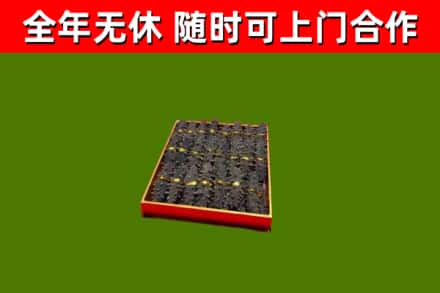 城西回收海参